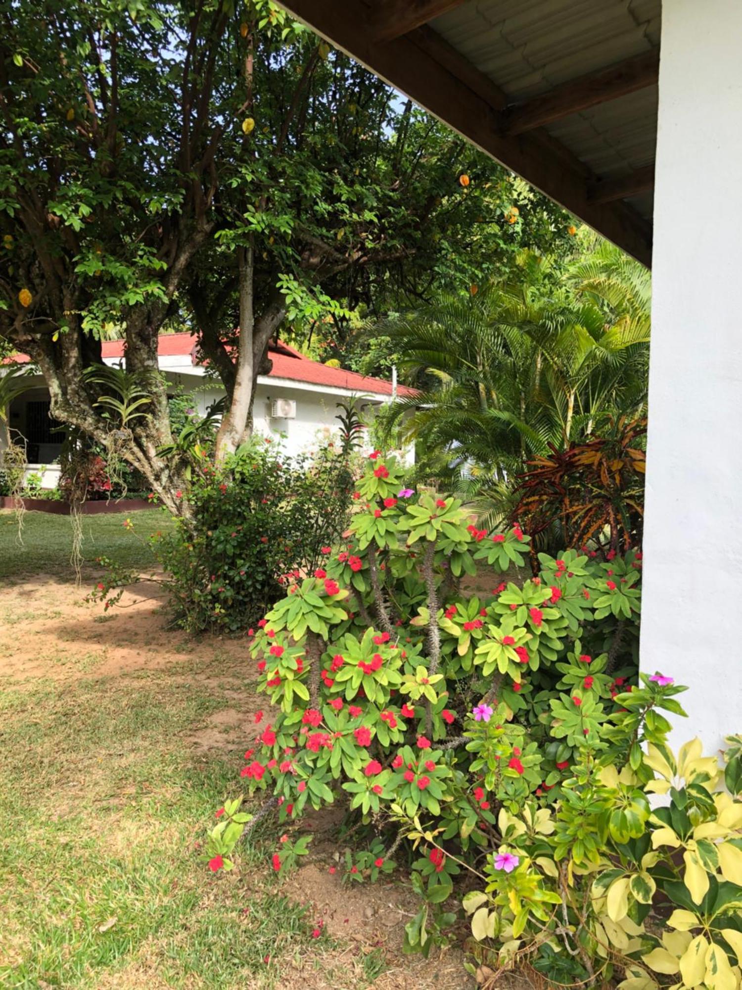 Hcs Bungalows Turtle Bay Rustic Bungalow О-Кап Экстерьер фото